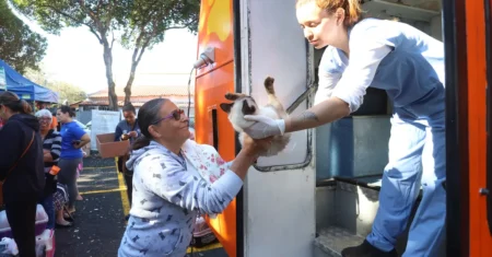 Castramóvel chega a Barão Geraldo com 1.000 vagas para castração e microchipagem gratuitas