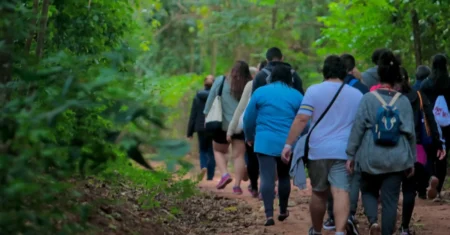 Fundação José Pedro de Oliveira retoma atividades do grupo de caminhada na Mata de Santa Genebra