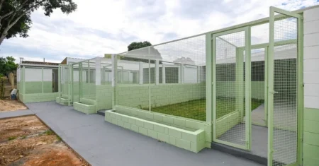 Departamento de Proteção e Bem-Estar Animal (DPBEA) conclui primeira etapa de reforma