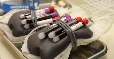 "Formação, Cidadania e Solidariedade" é tema de curso da Escola de Governo – EGDS