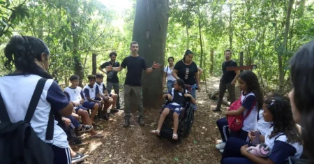 Educação Ambiental: Mata de Santa Genebra inicia visitas monitoradas das escolas em 2026