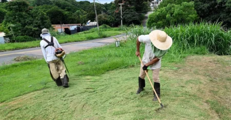 Limpeza e roçagem chegam ao Jardim Chapadão e Jardim Eulina nesta segunda-feira, 23/02