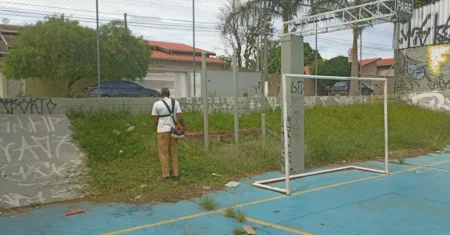 Bairros do distrito do Ouro Verde recebem serviços de roçagem, recolha de galhos e melhorias viárias