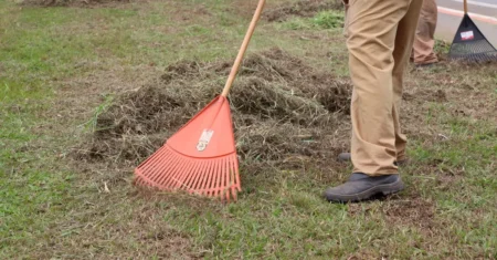 Prefeitura de Campinas realiza mutirão de limpeza em bairros da região do São Marcos