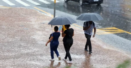 Prefeitura fecha sete parques e a Mata de Santa Genebra nesta quinta-feira, 26, após chuvas de mais de 80mm em 72h