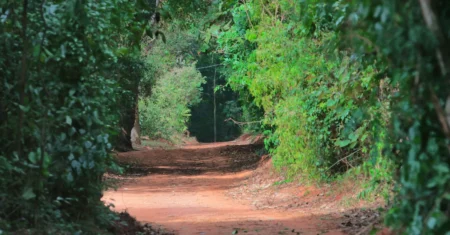 Prefeitura mantém as seis áreas de lazer e a Mata de Santa Genebra, na região Norte, fechados para visitação