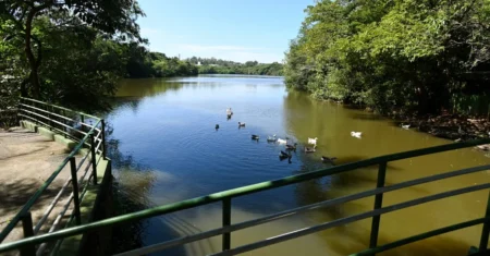 Campinas reabre parques da região Norte neste domingo, 1°, após dias sem chuva