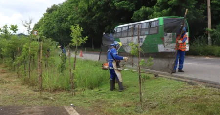 Prefeitura de Campinas realiza mutirão na região do Campos Elísios a partir de quarta-feira