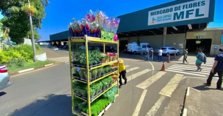 Permissionários do Mercado de Flores da Ceasa Campinas conquistam prêmio