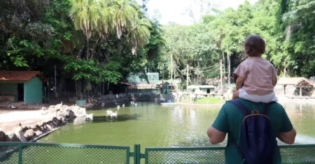 Lagoa do Taquaral e Parque Ecológico lideram buscas na internet por pontos turísticos de Campinas