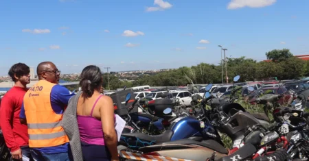 1º Leilão do Pátio 2026: lances finais ocorrem nestas quarta e quinta-feira, dias 4 e 5 de março