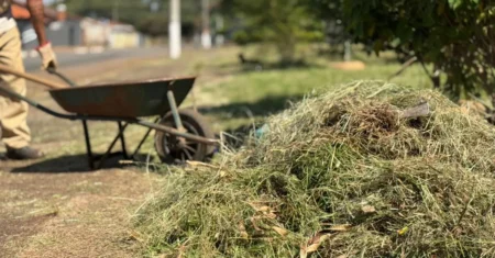 São Gabriel, Vila Joaquim Inácio e Vila Boa Vista recebem serviços de zeladoria