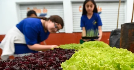 “Passos para uma vida melhor” leva iniciativa de prevenção à obesidade para 12 Centros de Saúde