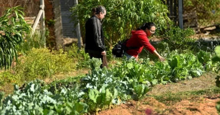 Comitê Científico de Segurança Alimentar e Nutricional avalia criação de observatório em Campinas