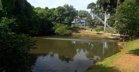 Bosque da Paz Yitzhak Rabin e Bosque dos Alemães reabrem revitalizados neste sábado