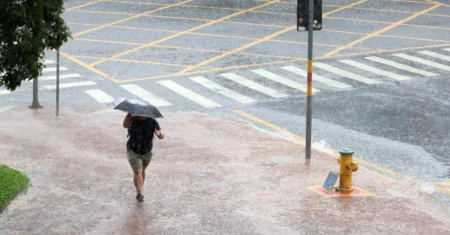 Prefeitura fecha 11 parques e a Mata de Santa Genebra nesta quinta, 12, após chuvas de mais de 80mm em 72h