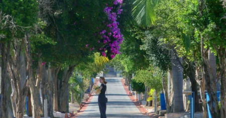 Cemitério da Saudade de Campinas recebe visita monitorada especial no Mês das Mulheres