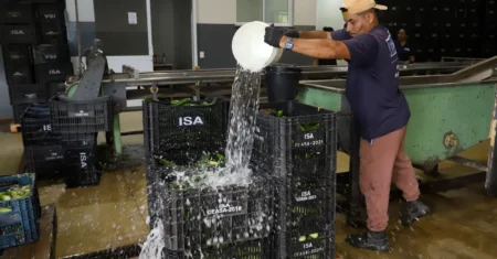 Ceasa Campinas amplia distribuição de alimentos com auxílio da tecnologia