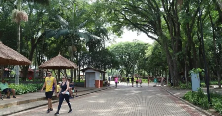 Campinas reabre parques neste domingo, 15, após redução no acumulado de chuvas