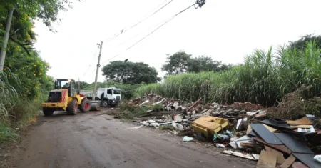 Mutirão na região da Vila Formosa recolhe mais de 1.700 toneladas de resíduos