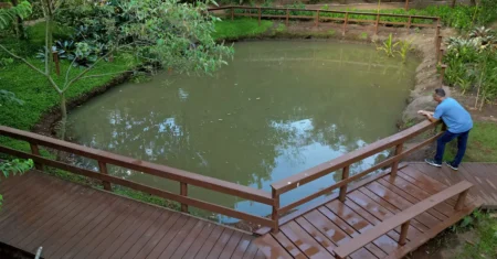 Mata de Santa Genebra promove atividades para celebrar o Dia Mundial da Água neste domingo