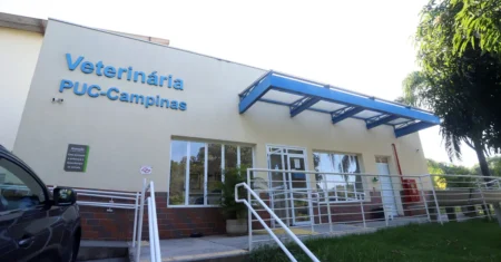 Cão e gato resgatados iniciam atendimentos na Clínica Veterinária da PUC-Campinas nesta terça, 17