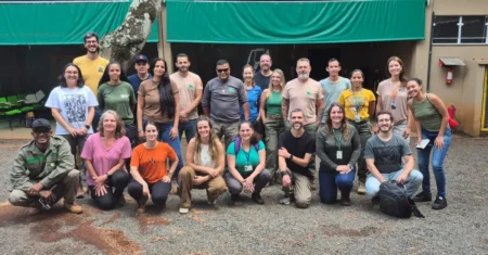 Treinamento de Brigada Arborista capacita equipes para prevenção de riscos na Mata de Santa Genebra