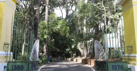 Campinas reabre Bosque do Parque Valença neste domingo, após redução no acumulado de chuvas