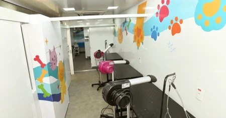 De manhã, à tarde ou à noite: Caminho da Capacitação oferece cursos gratuitos para diferentes bairros em Campinas