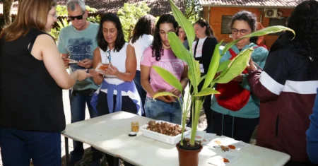 Mata de Santa Genebra, em Campinas, promove atividade gratuita sobre plantas medicinais no dia 27
