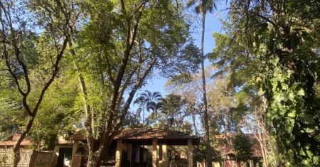 Vivência “Baile y Tambor” promove encontro entre tradições em Barão Geraldo