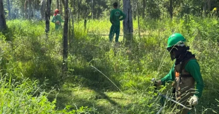 Centro de Campinas recebe força-tarefa de limpeza neste domingo e segunda-feira