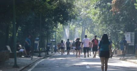 Condepacc aprova Plano de Manejo para remoção de árvores do Bosque dos Jequitibás