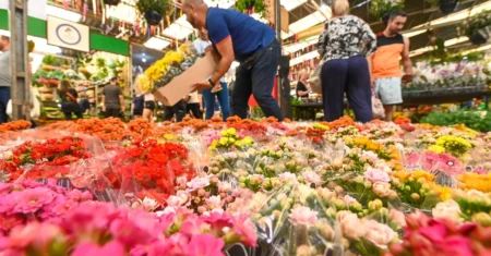Ceasa Campinas abre licitação para permissionamento no Mercado de Flores