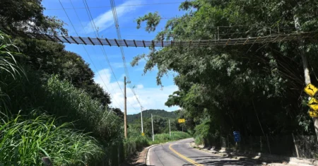 Campinas institui Núcleo de Conservação da Fauna Silvestre para fortalecer políticas públicas ambientais