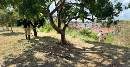 Secretaria de Serviços Públicos mantém limpeza no Centro durante o fim de semana