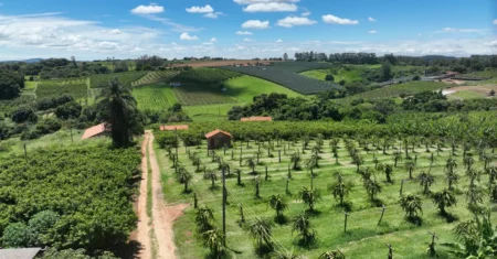 Campinas reforça programas para preservação do solo como estratégia ambiental e climática