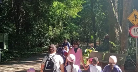 Mais de 100 crianças do Ensino Infantil participam de visitas monitoradas na Mata de Santa Genebra