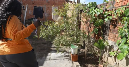 6º mutirão da dengue visita mais de 5,4 mil imóveis na região do Padre Anchieta