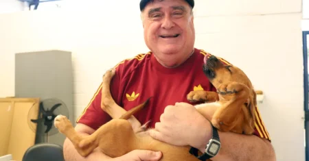 Amor à primeira vista: aposentado conhece cão pelo site do DPBEA e ganha novo companheiro de vida