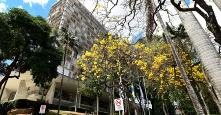 Confira o abre e fecha dos serviços municipais neste feriado nacional de 1º de Maio