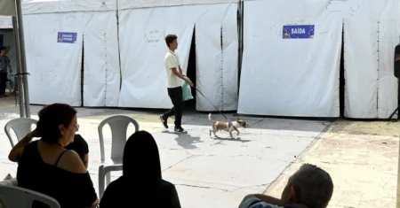 Mutirão para castração gratuita de cães e gatos começa hoje, 29, e inscrições continuam abertas