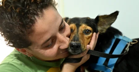 Consultório Veterinário Móvel continua no Jardim Florence até 21 de maio