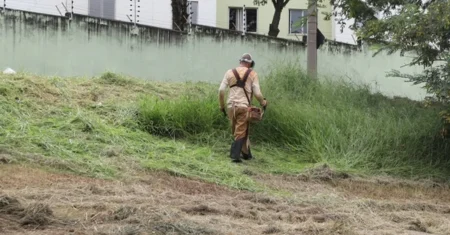 Jardim Bassoli recebe mutirão de limpeza e manutenção a partir desta segunda-feira