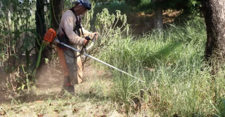 Mutirão de limpeza e manutenção no Jardim Bassoli começa com roçagem de mato e retirada de lixo
