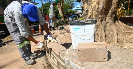 Laudo da Esalq-USP confirma necessidade de extração de árvores em Barão Geraldo