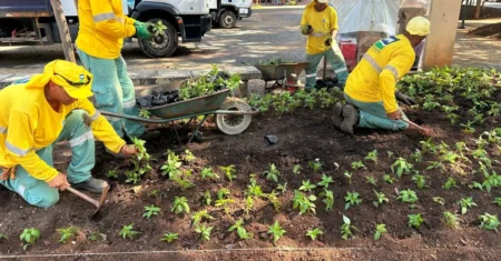 Prefeitura realiza manutenção, limpeza e tapa-buracos na área central e em bairros de Campinas