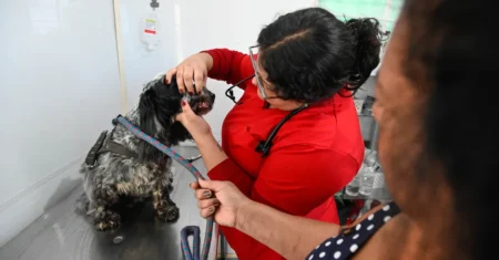 Moradores da Vila Castelo Branco têm até esta 5ª para levar seus pets para atendimento no Consultório Móvel