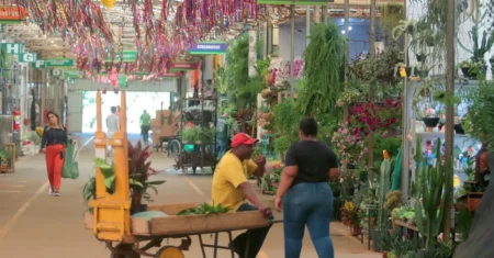 Ceasa Campinas realiza Feira de Noivas no Mercado de Flores neste sábado, 16