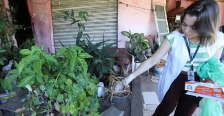 Alerta dengue: Campinas identifica 27 bairros com maior risco nesta semana